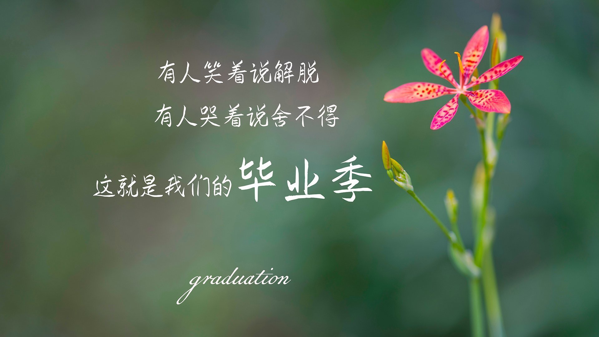 上海上港坐镇主场迎战廊坊泰山，谁将成为比赛的胜利者？，上海上港主场赛程