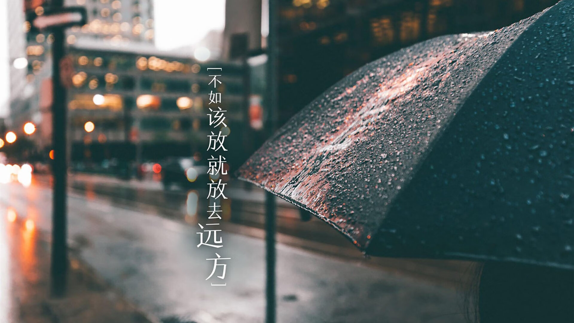 瑞士马术协会与兽医合作，开展马匹疾病预防与治疗研究。，瑞士mame