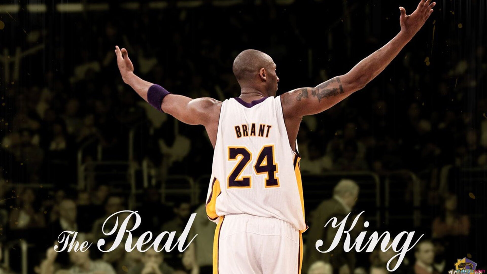 爵士老将康利宣布退役，结束18年职业生涯，康利转会爵士